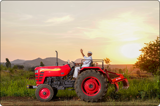 Filmmaker silhouette near window